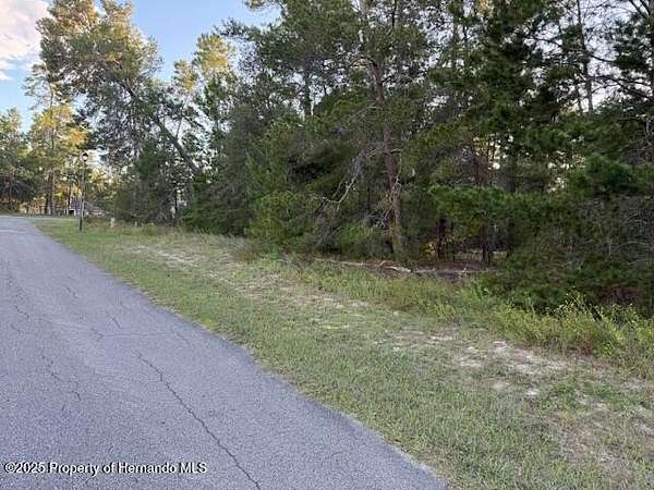 0.36 Acres of Residential Land for Sale in Homosassa, Florida