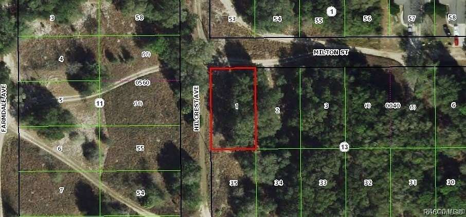 0.23 Acres of Residential Land for Sale in Inverness, Florida