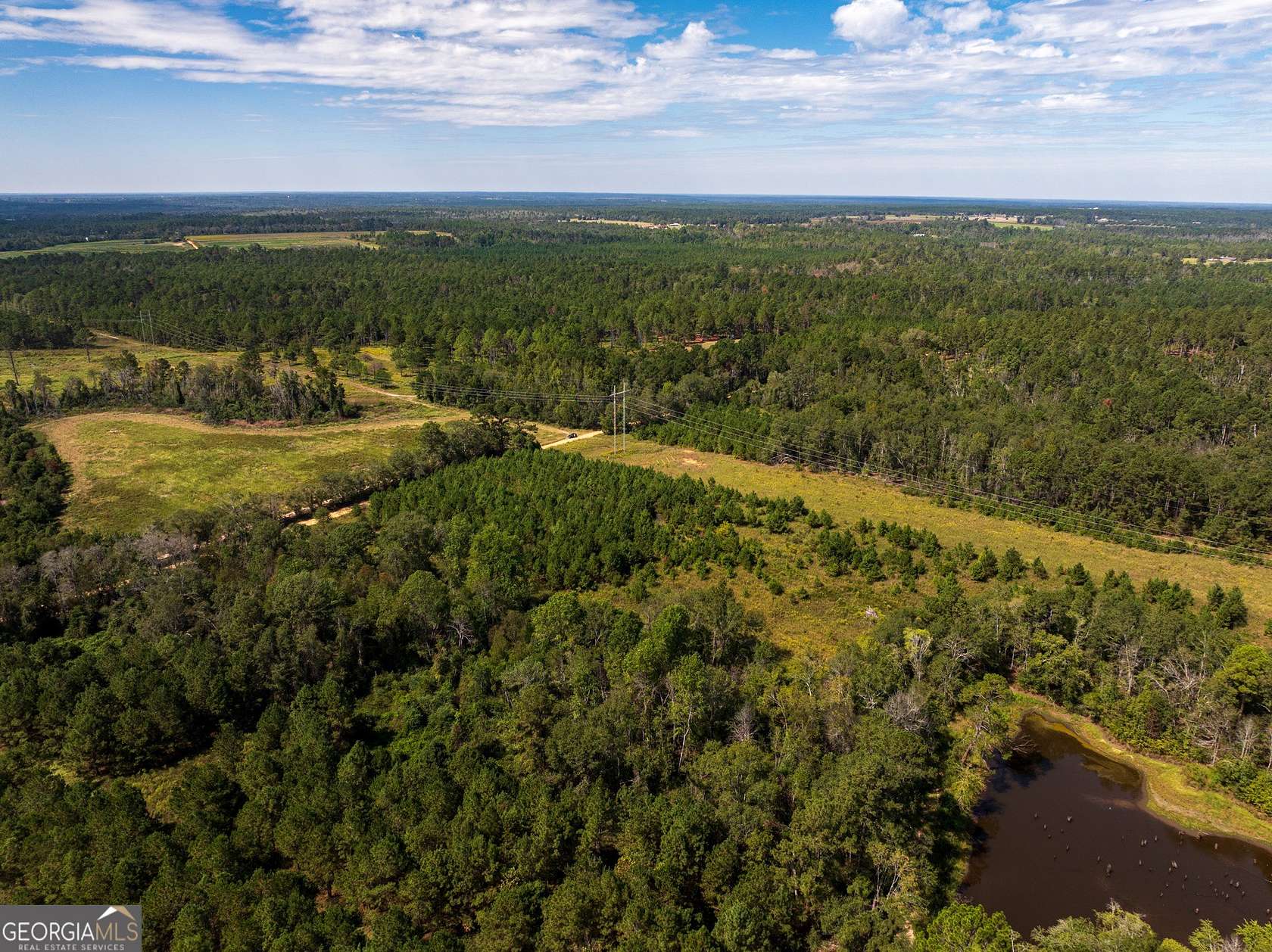 9.5 Acres of Land for Sale in Cobbtown, Georgia