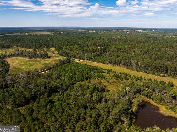 9.5 Acres of Land for Sale in Cobbtown, Georgia
