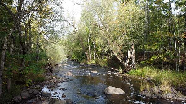 41.5 Acres of Recreational Land for Sale in Hurley, Wisconsin