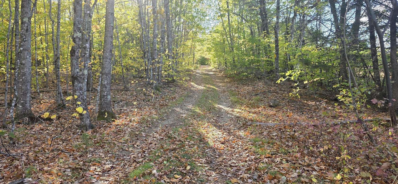 32.7 Acres of Land for Sale in Paris, Maine