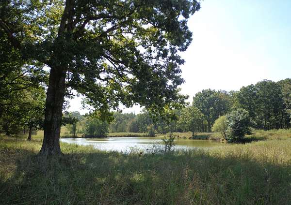 5.65 Acres of Residential Land for Sale in Waverly, Tennessee