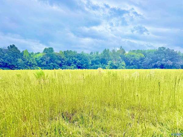 25 Acres of Recreational Land for Sale in Danville, Alabama