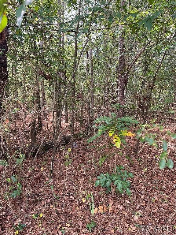 0.1 Acres of Residential Land for Sale in Childersburg, Alabama