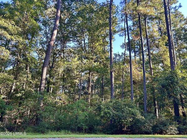 1 Acre of Residential Land for Sale in Seabrook, South Carolina