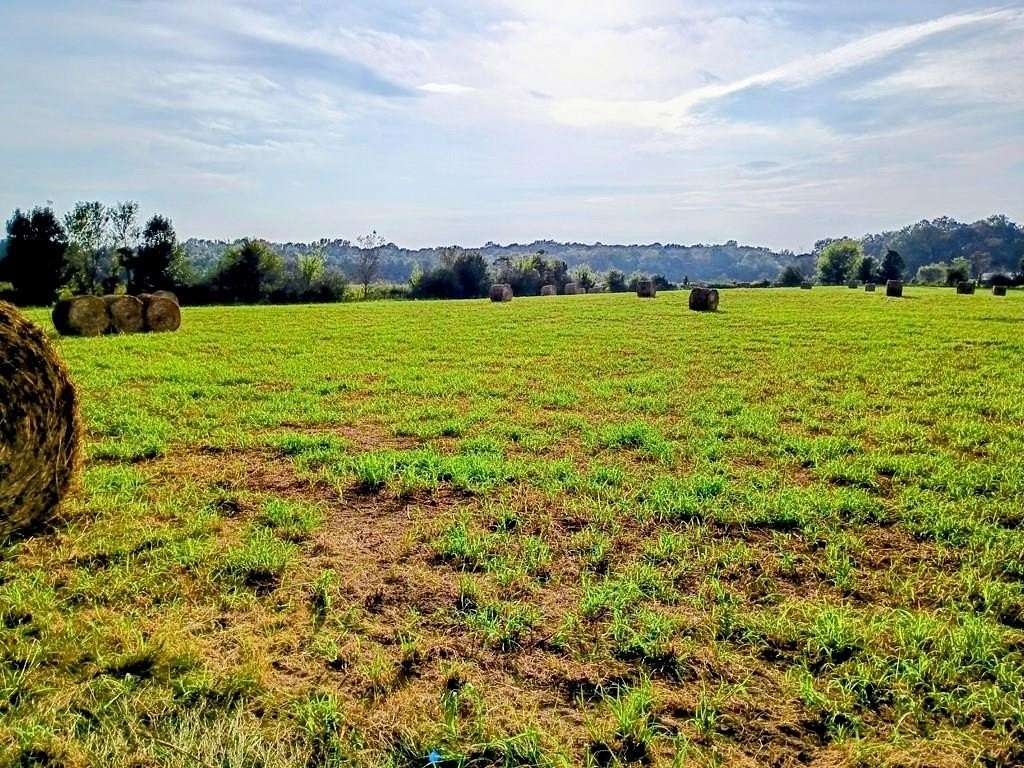 11.8 Acres of Agricultural Land for Sale in Crandall, Georgia