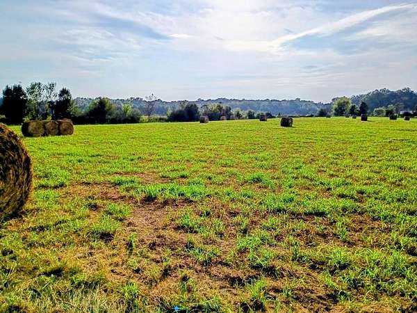 11.8 Acres of Agricultural Land for Sale in Crandall, Georgia