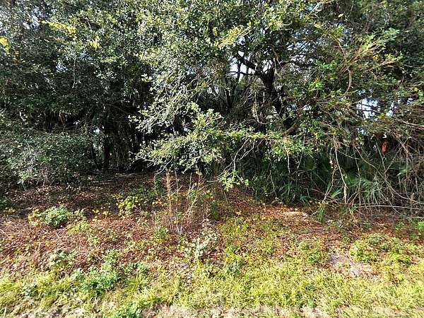 0.23 Acres of Residential Land for Sale in North Port, Florida