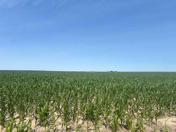 160 Acres of Agricultural Land for Sale in Goodland, Kansas