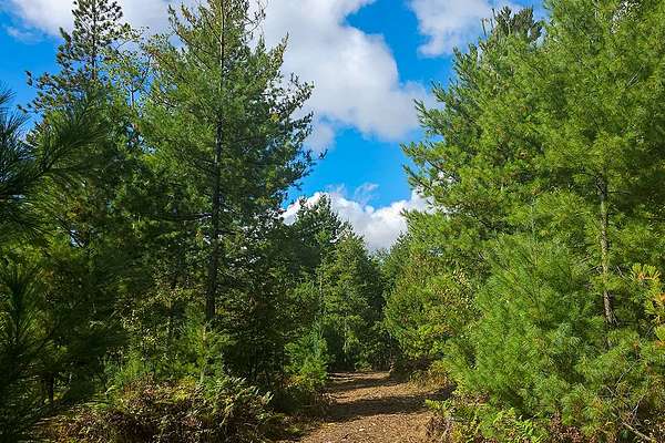 9.1 Acres of Residential Land for Sale in Solon Springs, Wisconsin