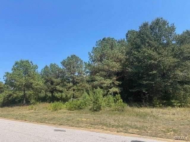 1.2 Acres of Land for Sale in Northport, Alabama