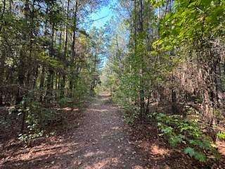 60.1 Acres of Recreational & Residential Land for Sale in Eupora, Mississippi