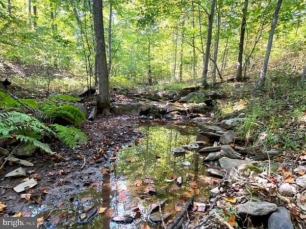 20 Acres of Recreational Land for Sale in Hedgesville, West Virginia