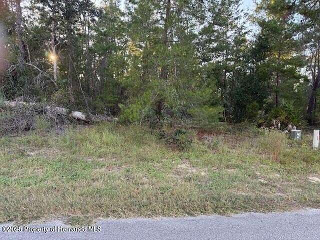 0.36 Acres of Land for Sale in Homosassa, Florida