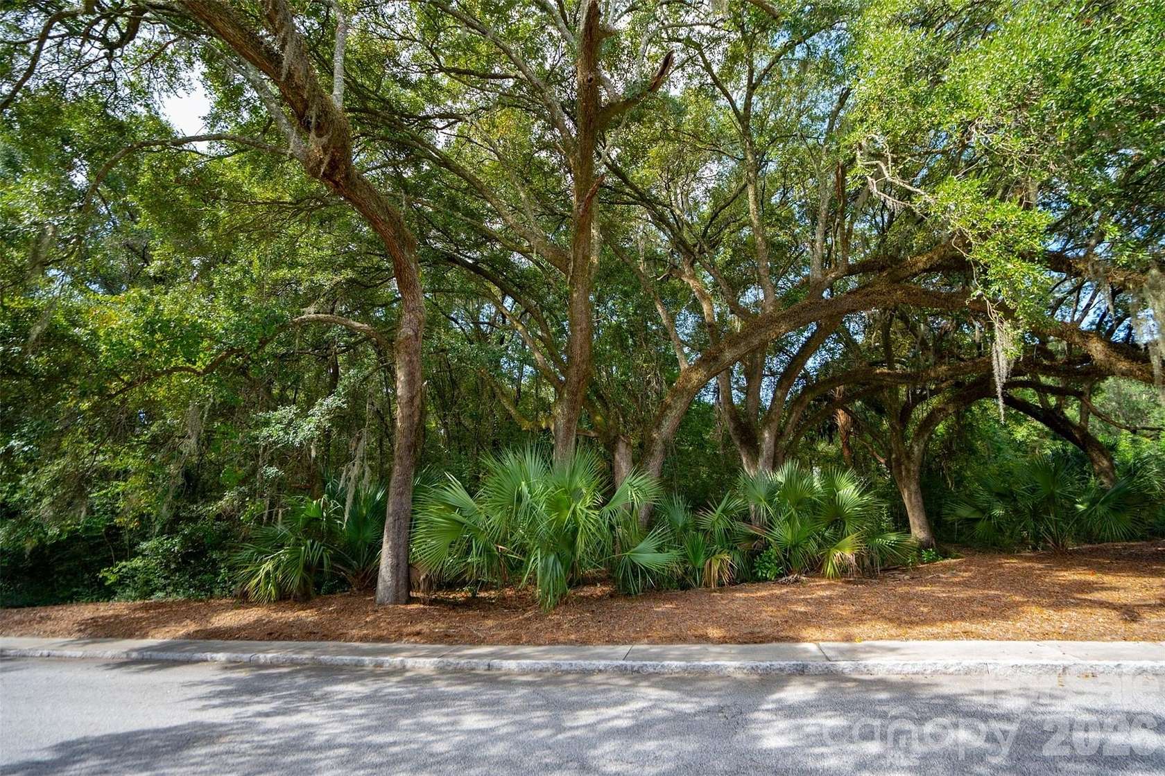 1.25 Acres of Residential Land for Sale in Charleston, South Carolina