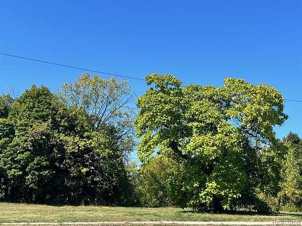0.08 Acres of Residential Land for Sale in Detroit, Michigan