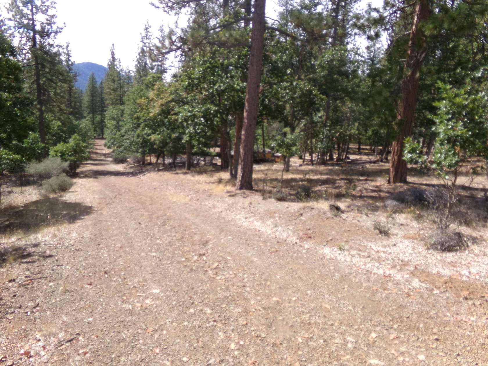 5 Acres of Land for Sale in Fort Jones, California