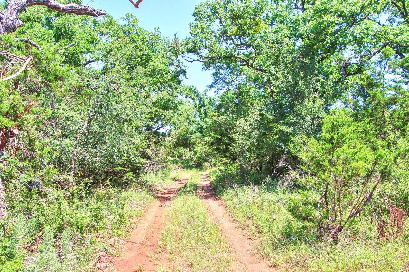 66 Acres of Land for Sale in Willow City, Texas