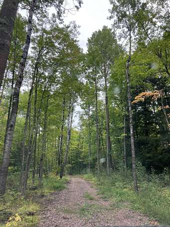 158 Acres of Recreational Land for Sale in Saxon, Wisconsin