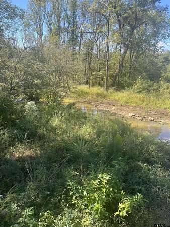 38.5 Acres of Recreational Land for Sale in Marshall, Texas