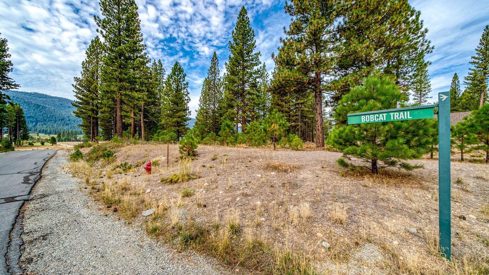 0.84 Acres of Residential Land for Sale in Clio, California