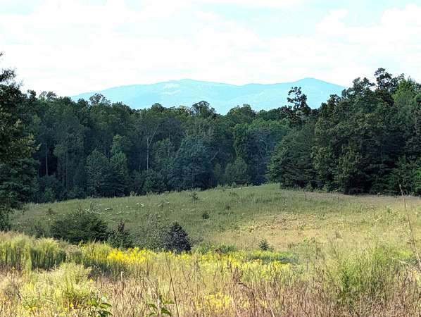 48 Acres of Land for Sale in Campobello, South Carolina