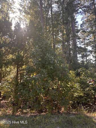 0.17 Acres of Land for Sale in Supply, North Carolina