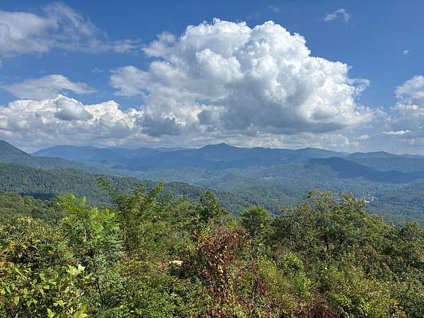 44.5 Acres of Recreational Land for Sale in Sylva, North Carolina