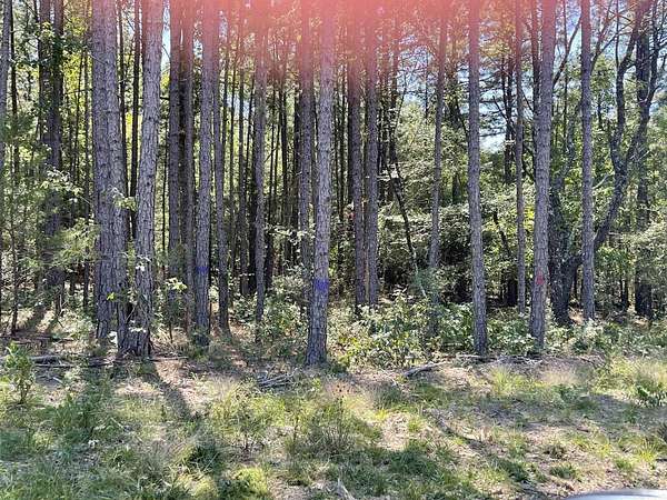 5 Acres of Residential Land for Sale in Romance, Arkansas