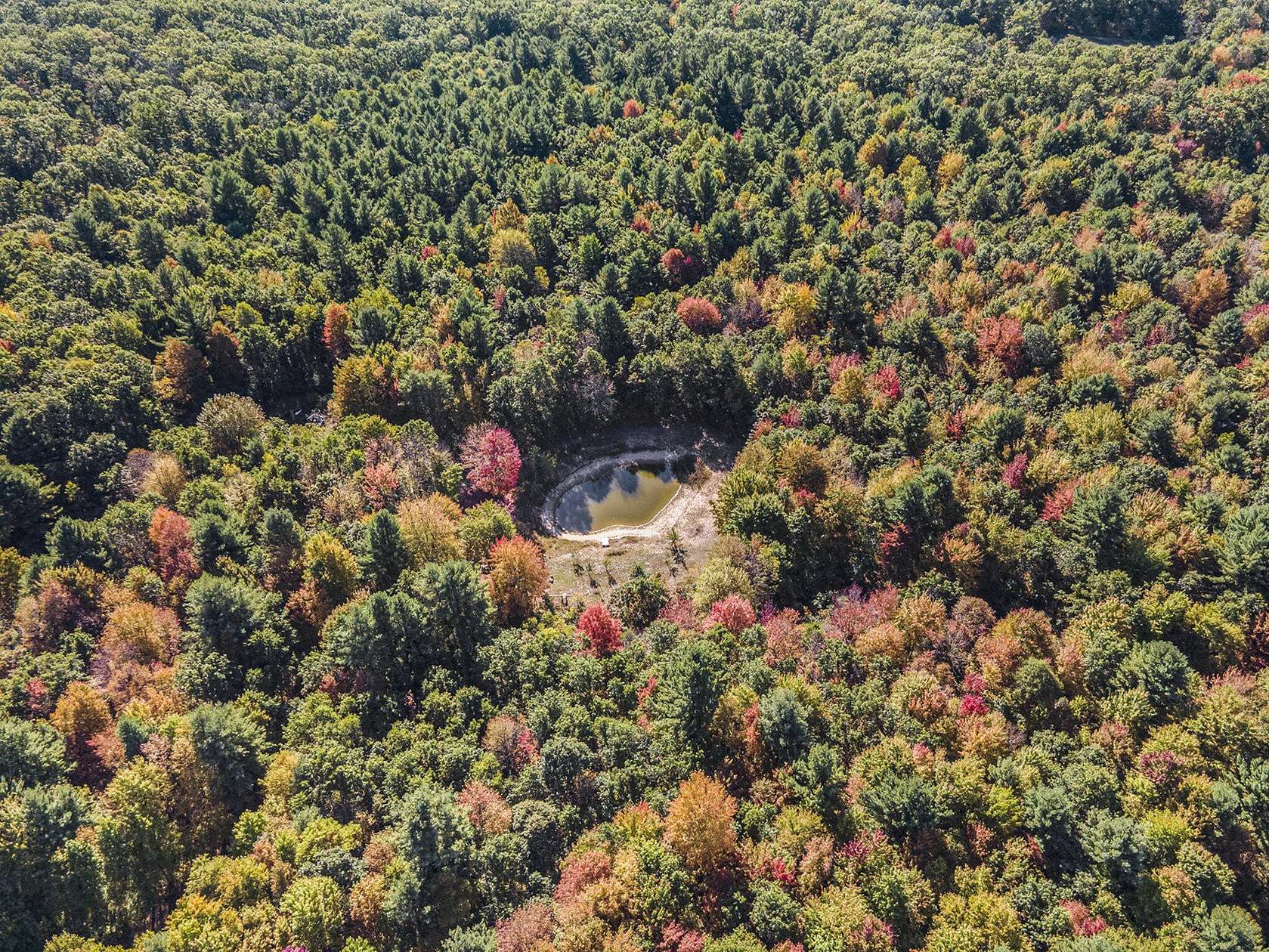 25.6 Acres of Recreational Land for Sale in Twin Lake, Michigan