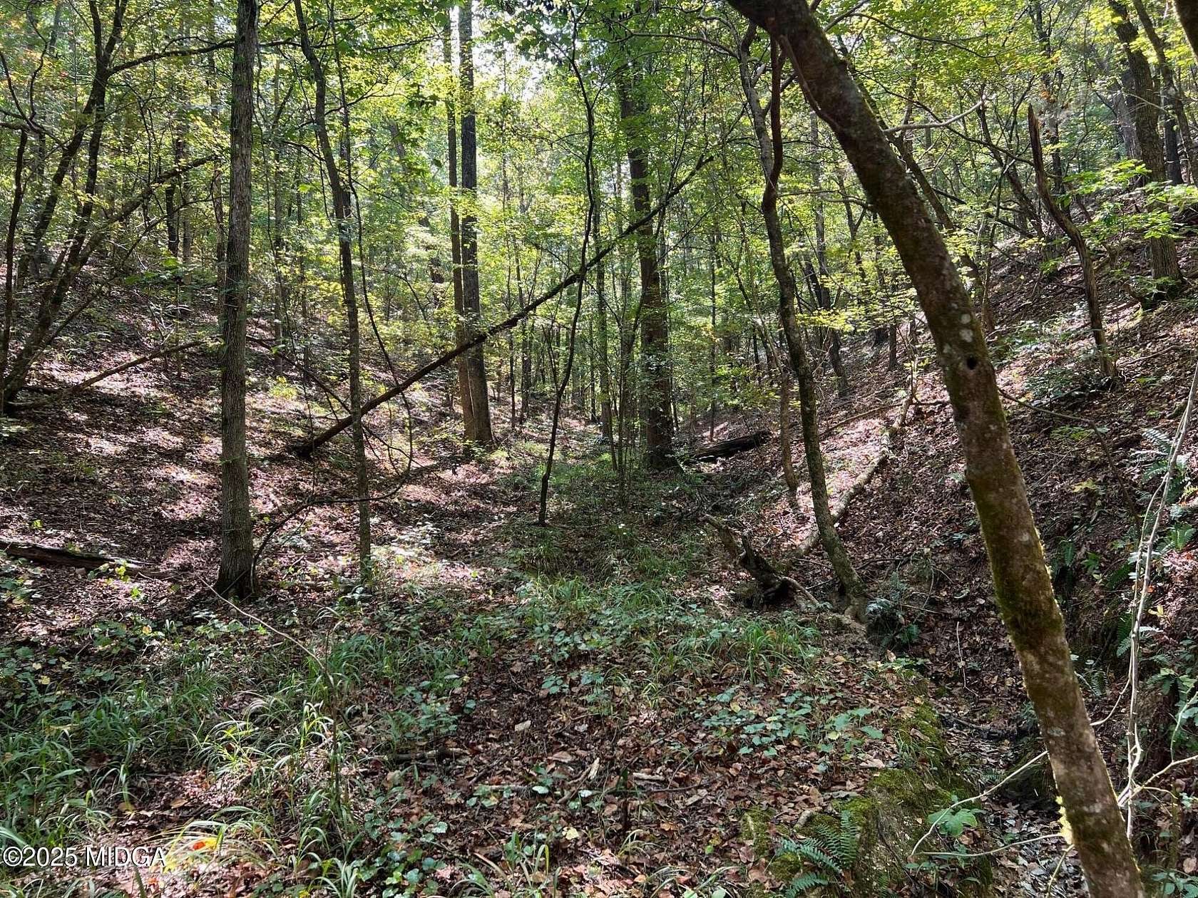 435 Acres of Recreational Land for Sale in Chatsworth, Georgia