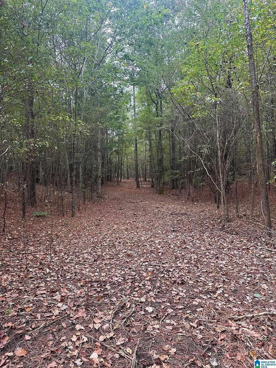 4.2 Acres of Residential Land for Sale in Odenville, Alabama