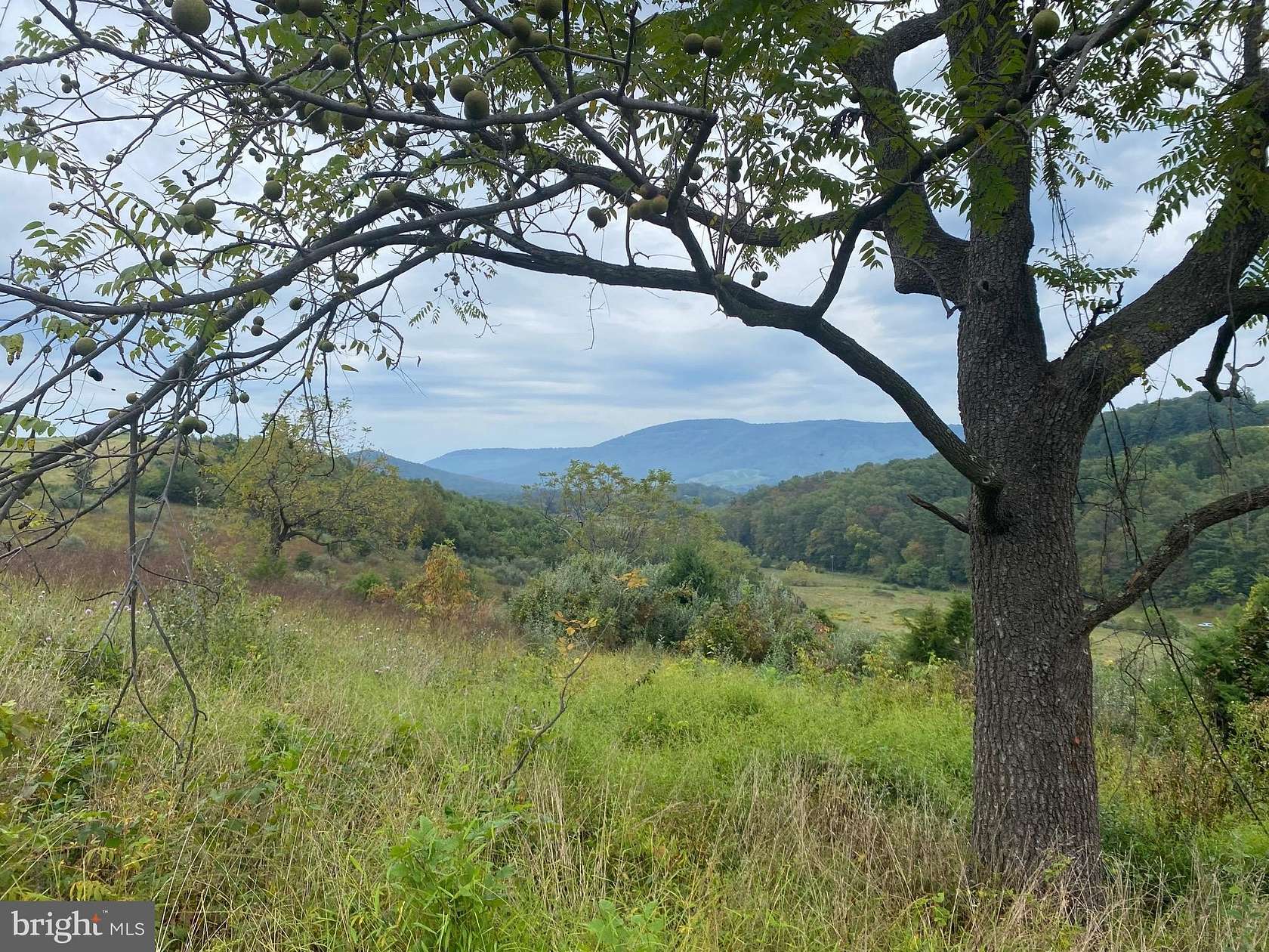 20.4 Acres of Land for Sale in Bentonville, Virginia