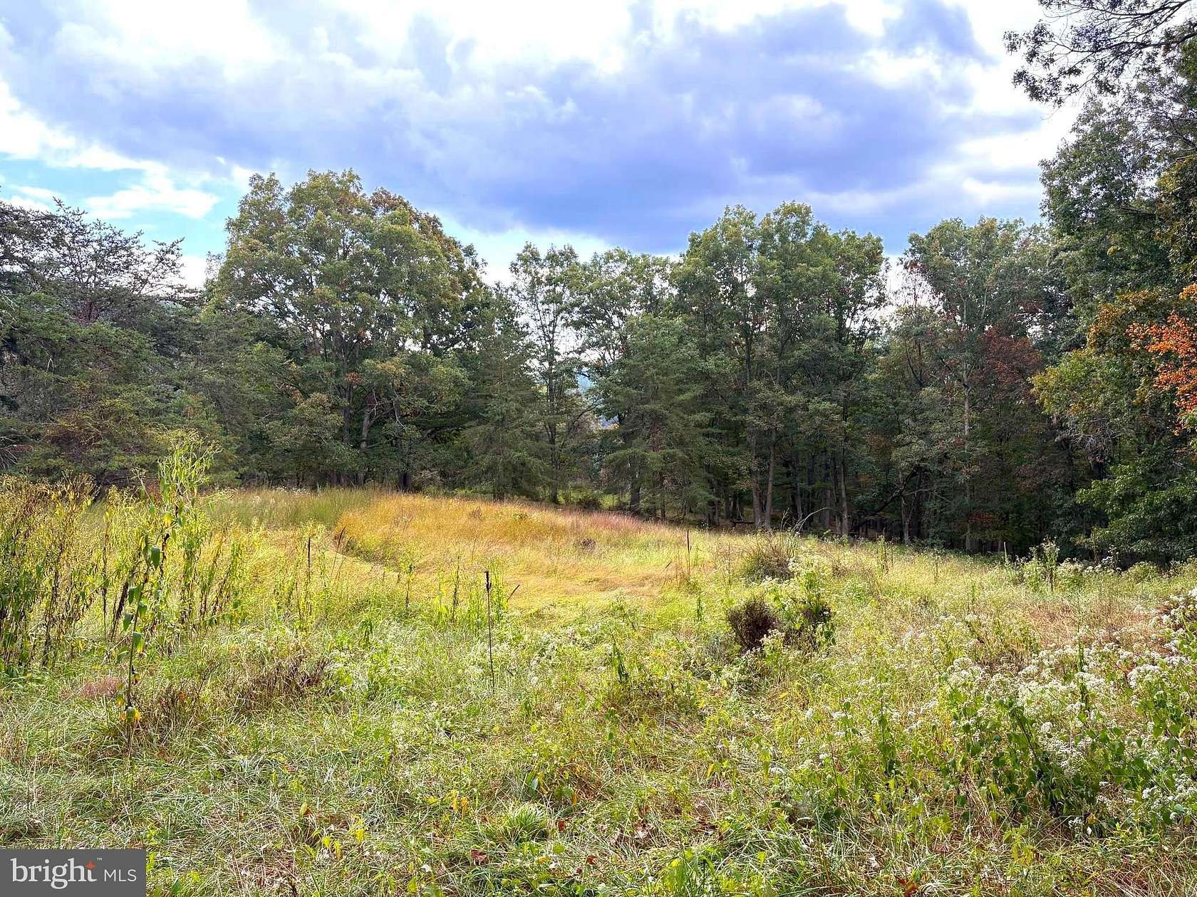 36 Acres of Recreational Land for Sale in Baker, West Virginia