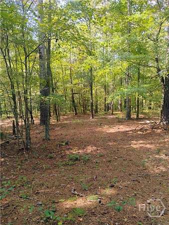 3 Acres of Residential Land for Sale in Bowman, Georgia