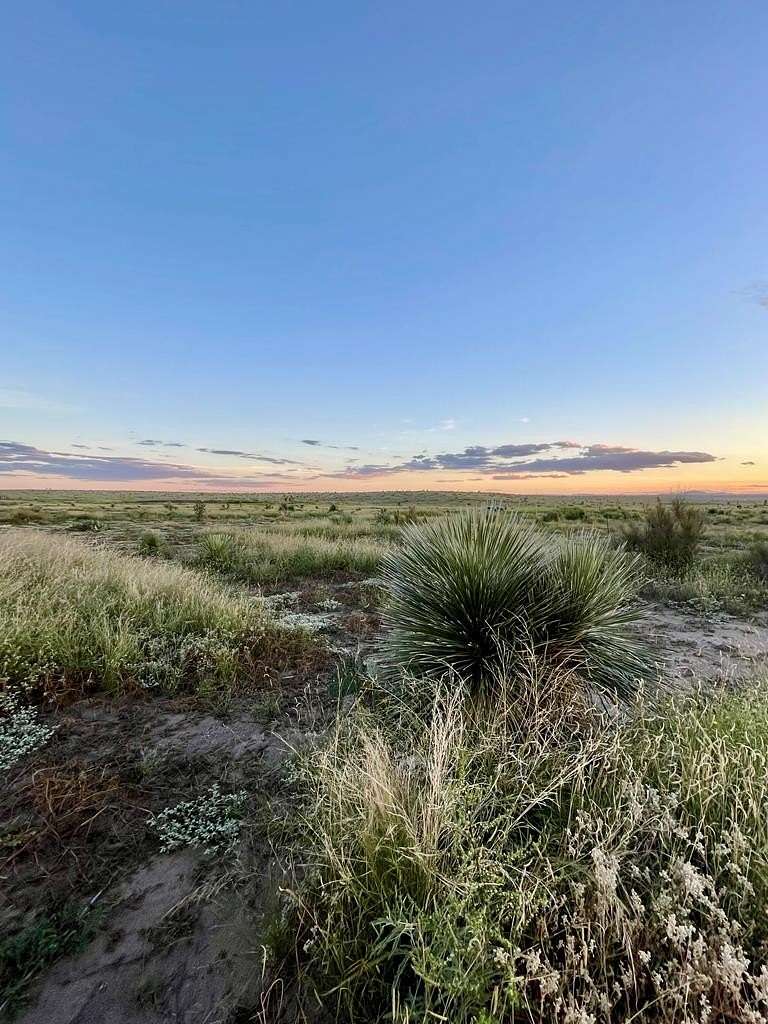 5 Acres of Land for Sale in Marfa, Texas
