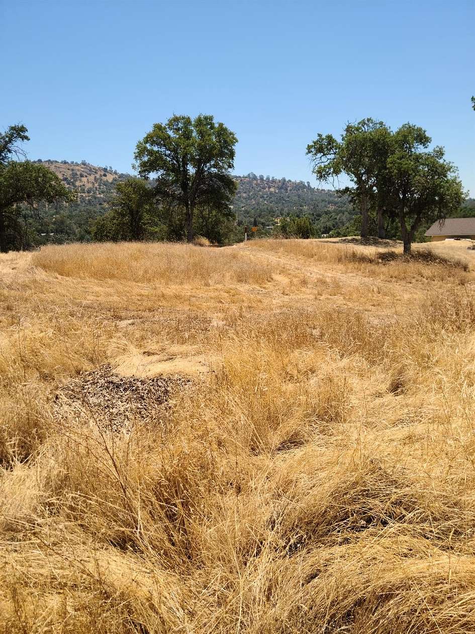 1.17 Acres of Residential Land for Sale in Coarsegold, California