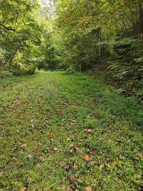 Residential Land for Sale in Robbinsville, North Carolina