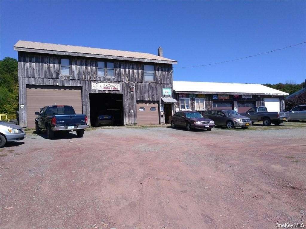 23 Acres of Improved Mixed-Use Land for Sale in Liberty, New York