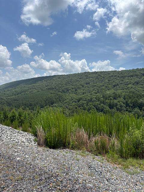 30 Acres of Recreational Land for Sale in Honobia, Oklahoma