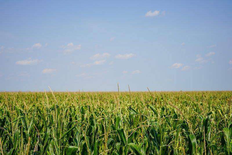 1,600 Acres of Agricultural Land for Sale in Ulysses, Kansas