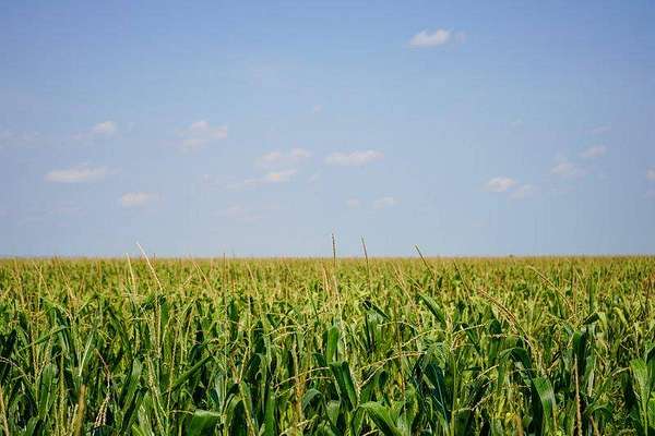 1,600 Acres of Agricultural Land for Sale in Ulysses, Kansas