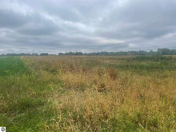 49.2 Acres of Agricultural Land for Sale in Rosebush, Michigan