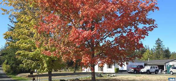 5 Acres of Land with Home for Sale in Sequim, Washington