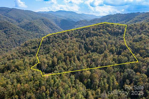 19.2 Acres of Recreational & Residential Land for Sale in Hot Springs, North Carolina