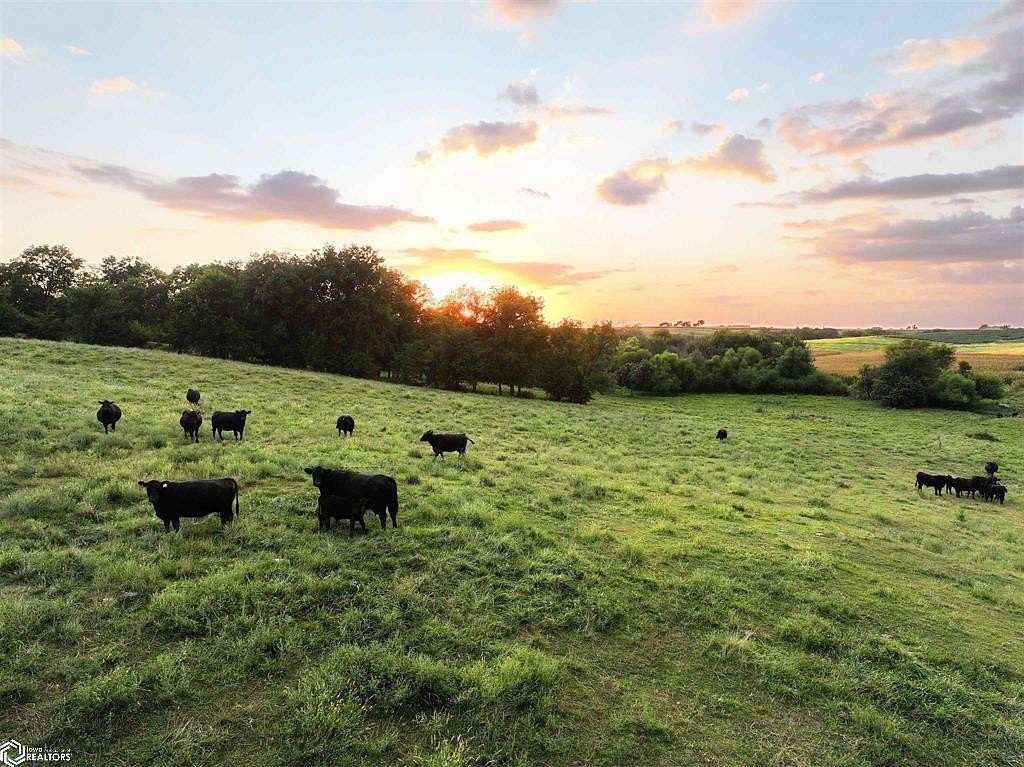 151 Acres of Recreational Land & Farm for Auction in Sigourney, Iowa