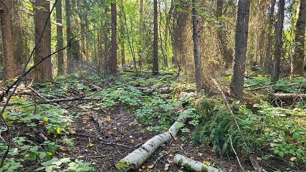 2.52 Acres of Land for Sale in Columbia Falls, Montana