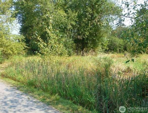 0.63 Acres of Residential Land for Sale in Mount Vernon, Washington