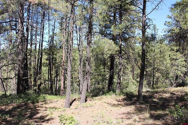 1.1 Acres of Residential Land for Sale in Pagosa Springs, Colorado